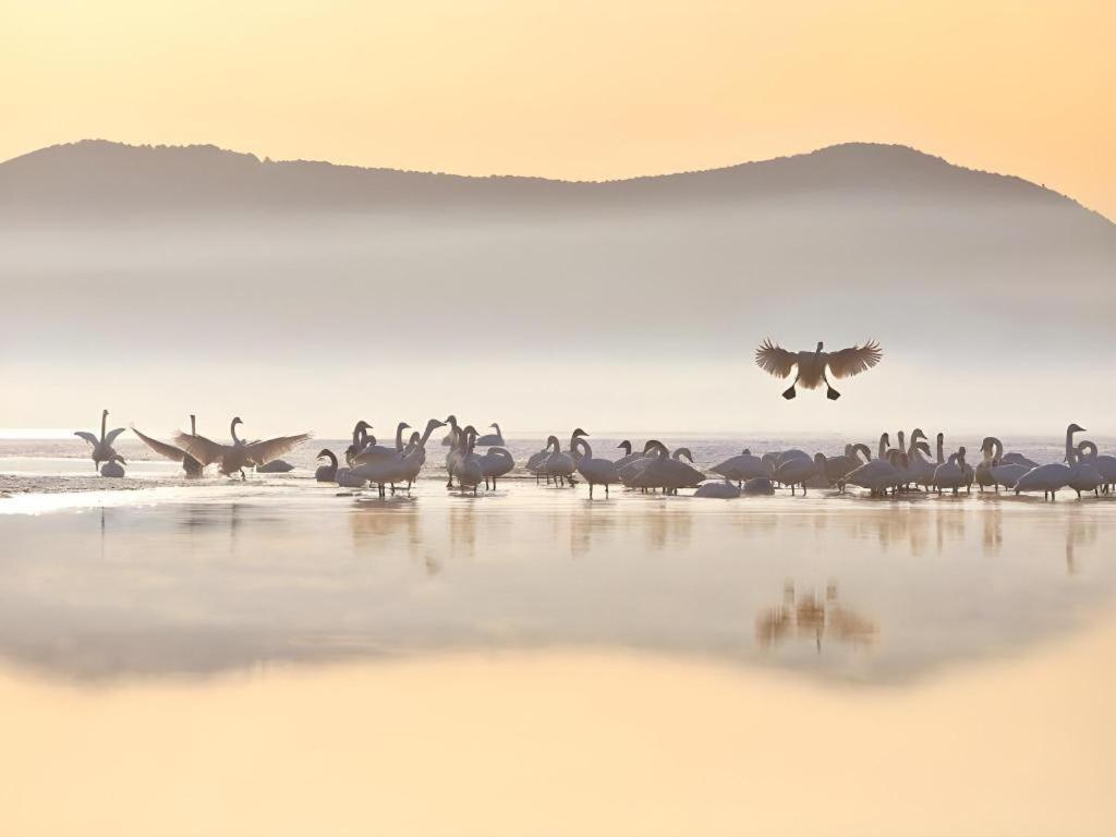 Greentree Inn Weihai Rongcheng Haoyunjiao Tourist Resort Экстерьер фото